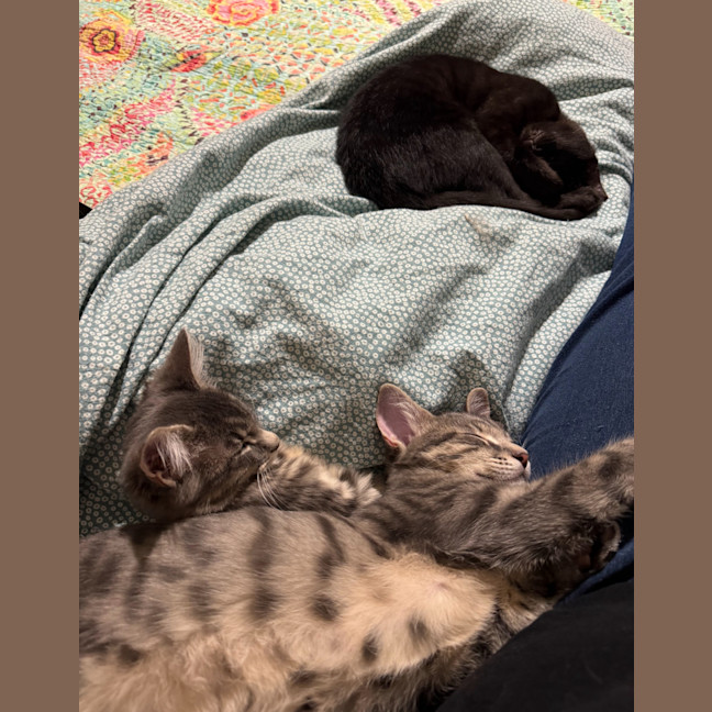 Photo of Freddie Aka Freaking Freddie