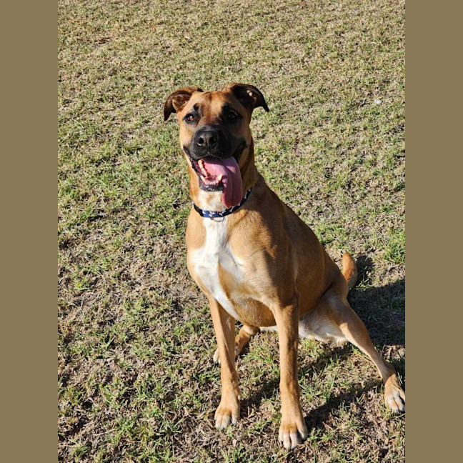 Photo of 🌹 Rose 6167 🌹