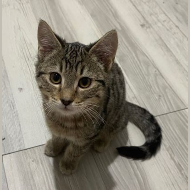 Photo of Mabel