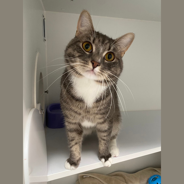 Photo of Hunter