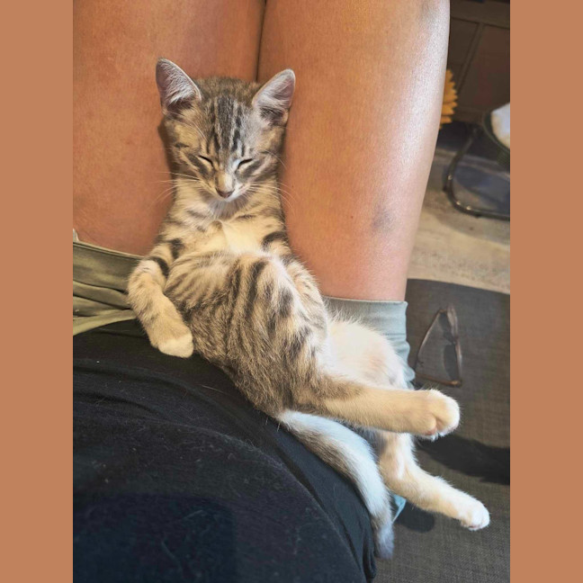 Photo of Bruno / Fruit Loop