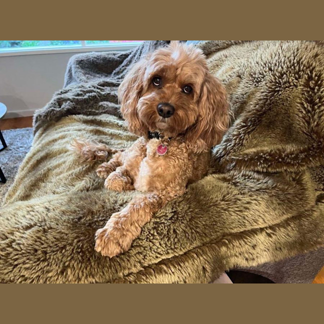 Photo of Winston Quinell