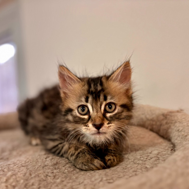 Photo of Zoey Moonlight