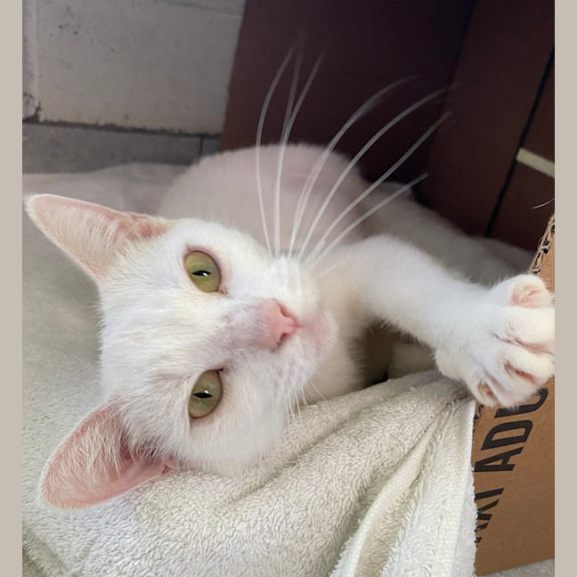 Photo of Storm