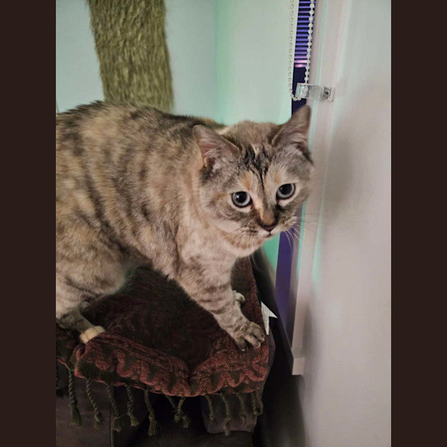 Photo of Matilda ( Tilly ) 