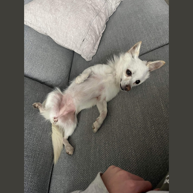Photo of Maggie