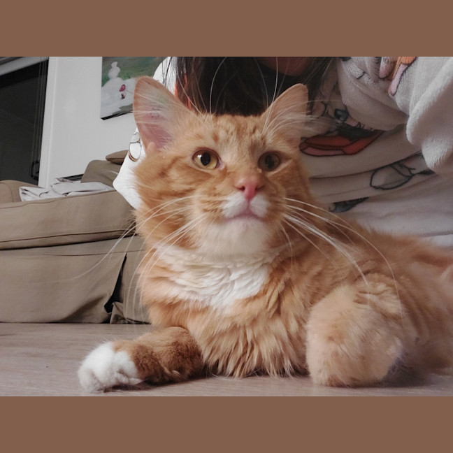 Photo of Diego