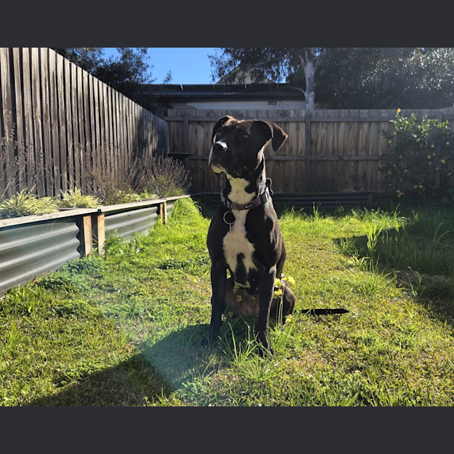 Photo of Gertrude