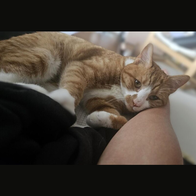 Photo of Owen
