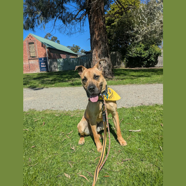 Photo of Maverick