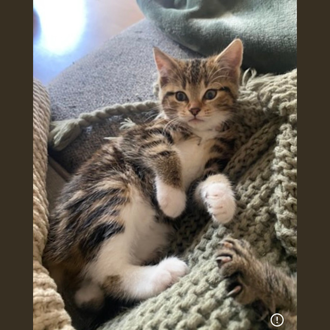 Photo of Pumpkin 💗