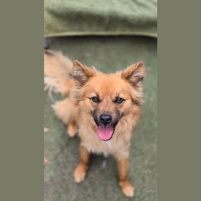 Photo of Ace