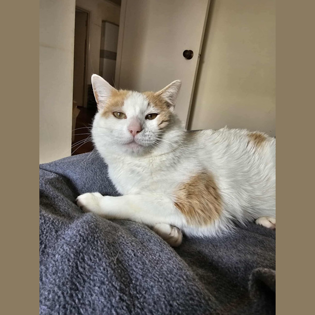 Photo of Rudolf 