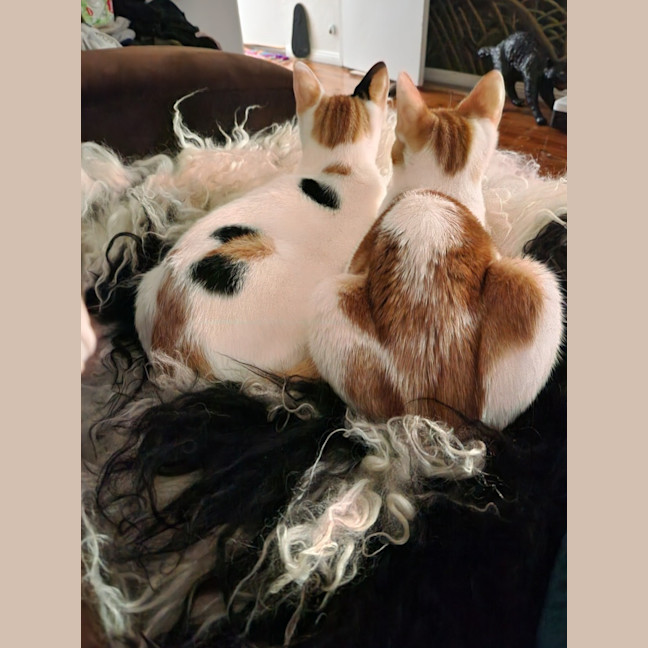 Photo of Berlioz And Aurora