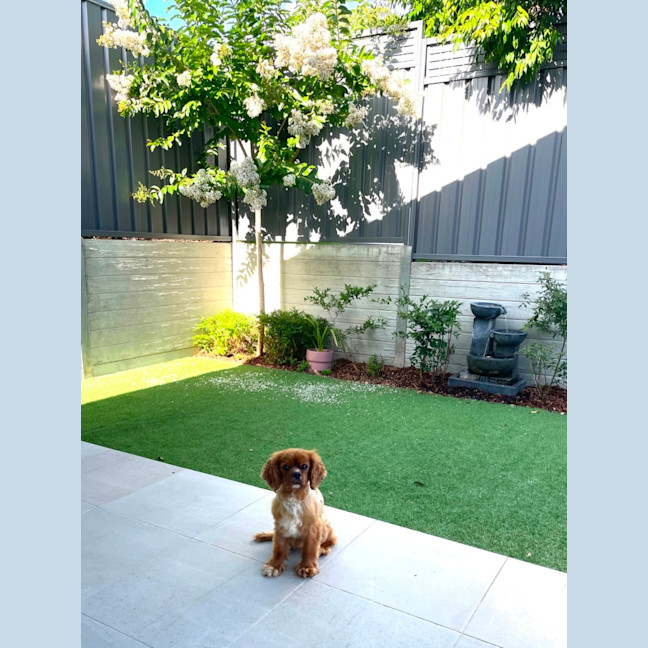 Photo of Beautiful Billy