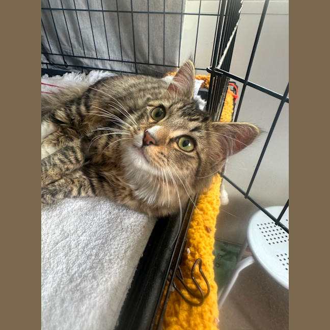 Photo of Salami & Pepperoni 