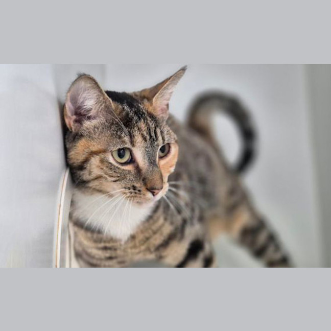 Photo of Matilda