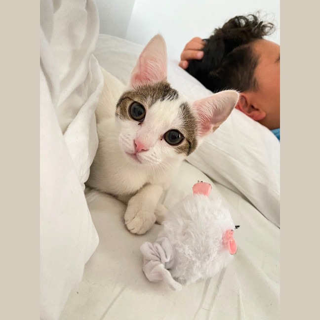 Photo of Snowey