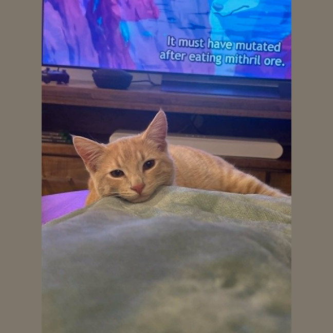 Photo of Milo