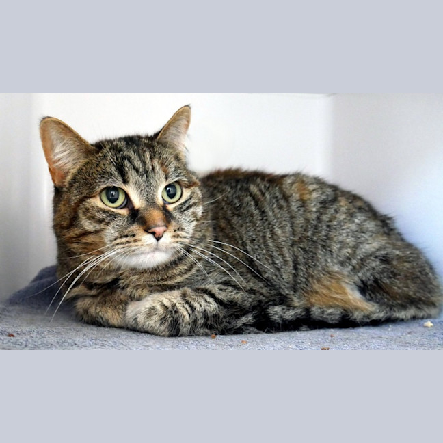 Photo of Hidi Sua014182