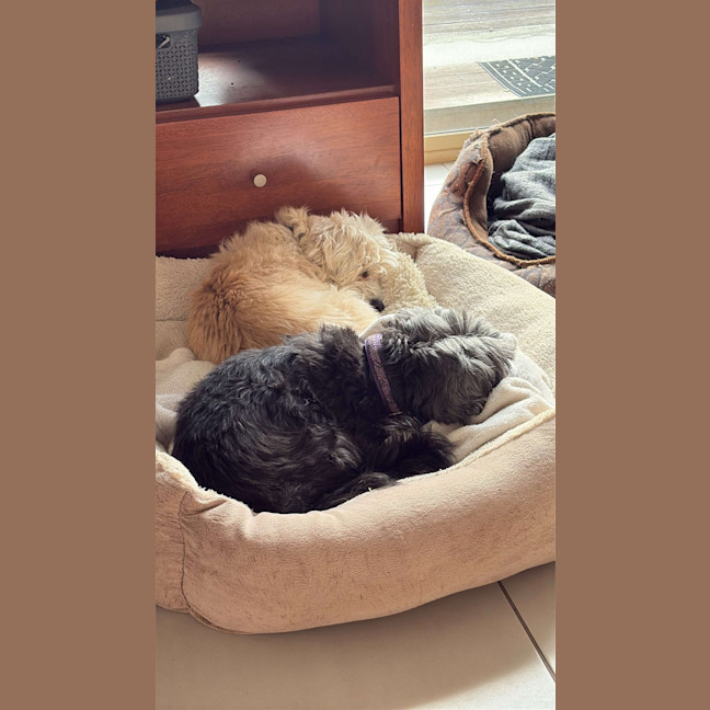Photo of Missy & Middy