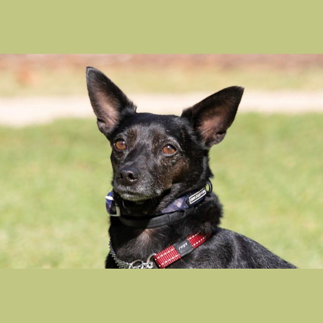 Photo of Basil Moriarty