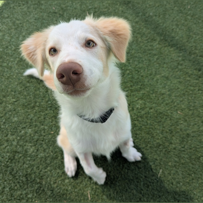 Photo of Walter