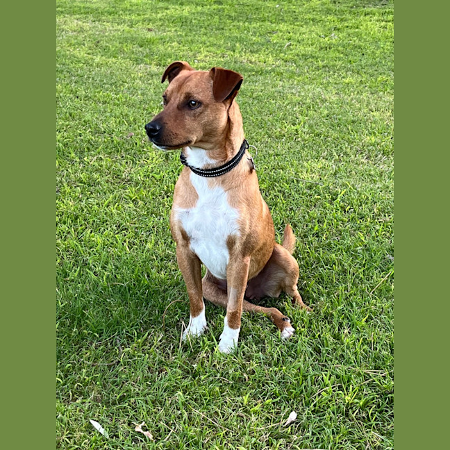 Photo of Diggie Smalls