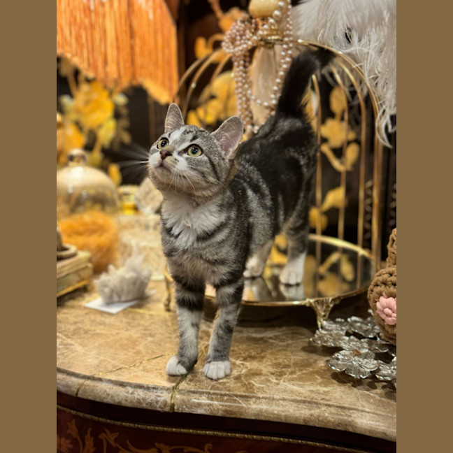 Photo of Fleur