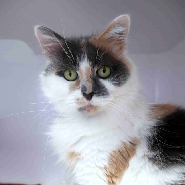 Photo of Lorna Sua013933