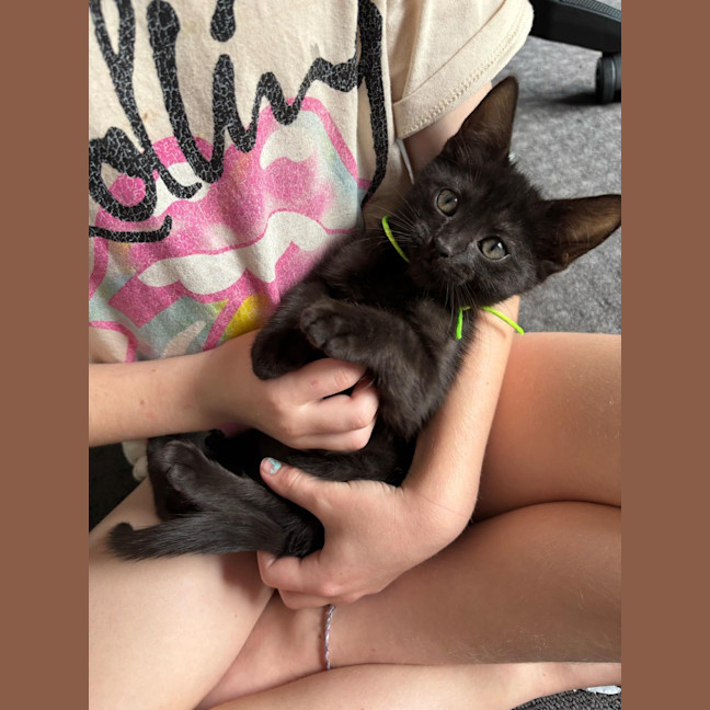 Photo of Luci