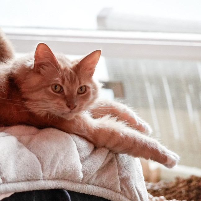 Photo of Sally & Denny