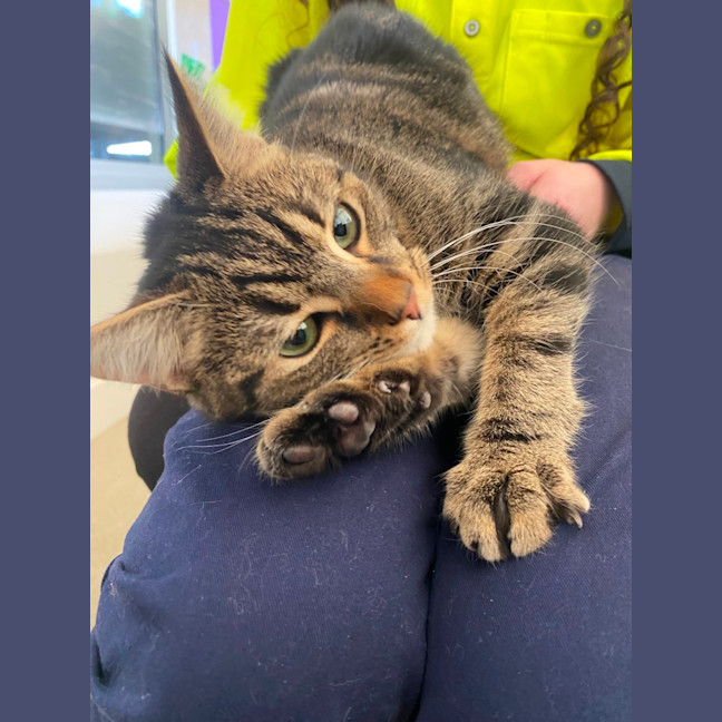 Photo of Catrick Swayze