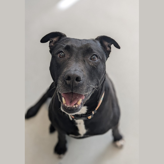 Photo of 🍂 Sienna 5634 🍂