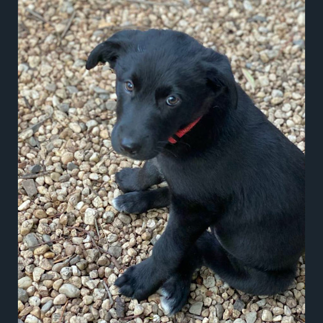 Photo of Naturaliste