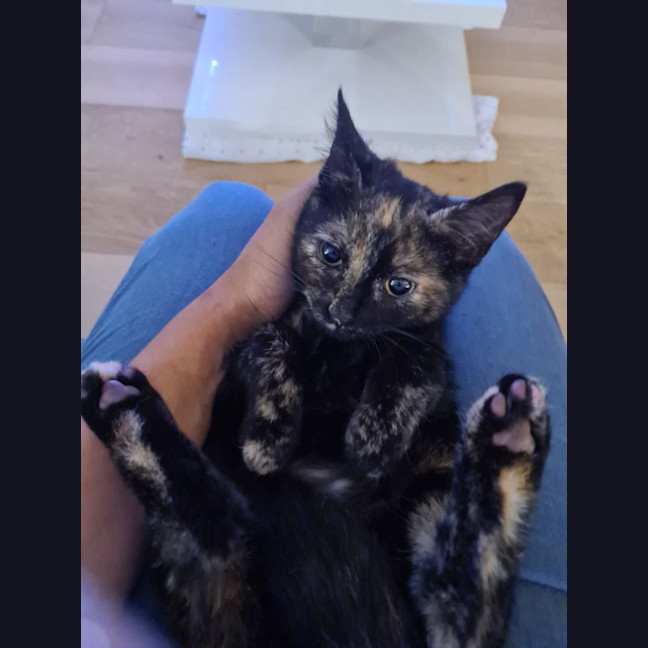 Photo of Agatha