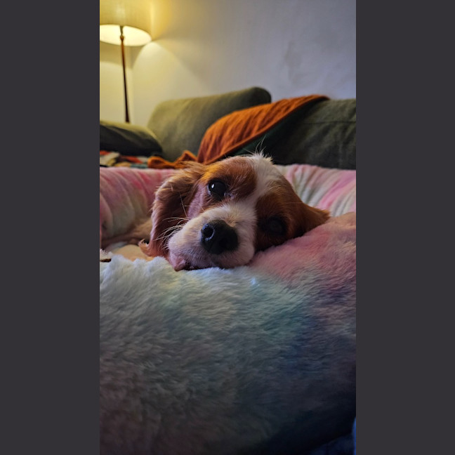 Photo of Lexi