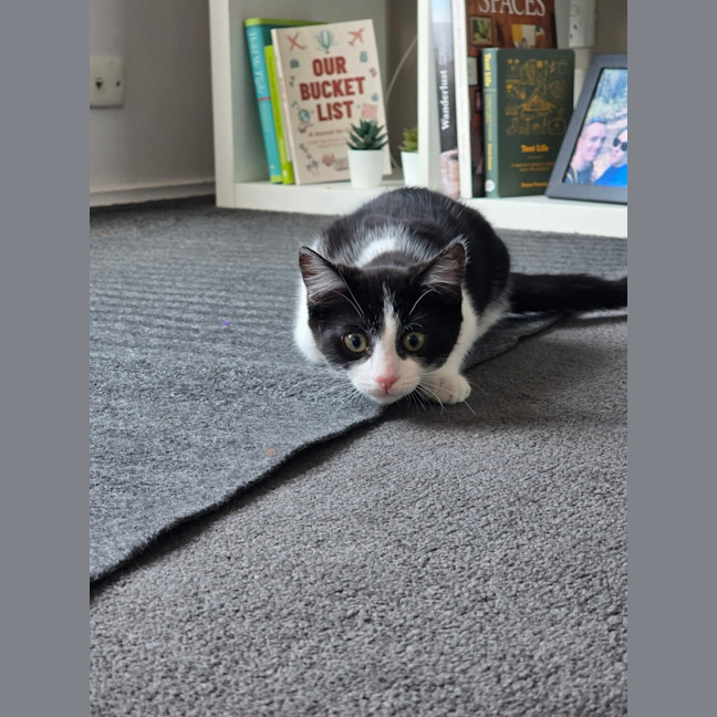 Photo of Penelope