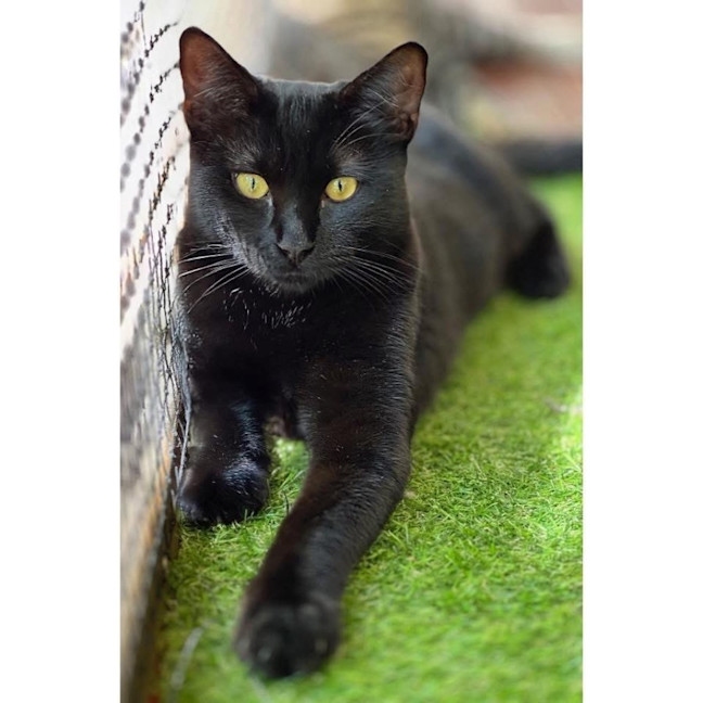 Photo of 11995   Maxy