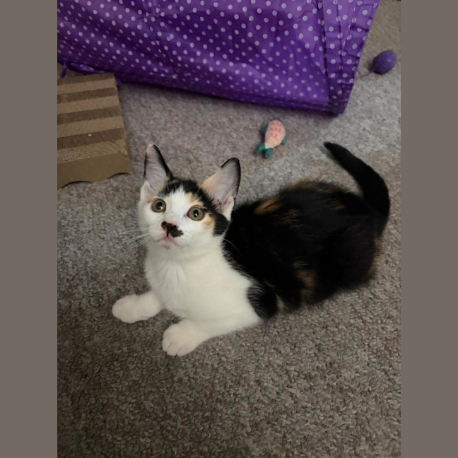 Photo of Hazel And Baby