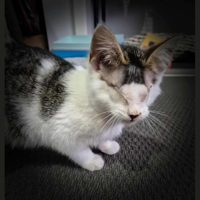 Photo of Ray Charles