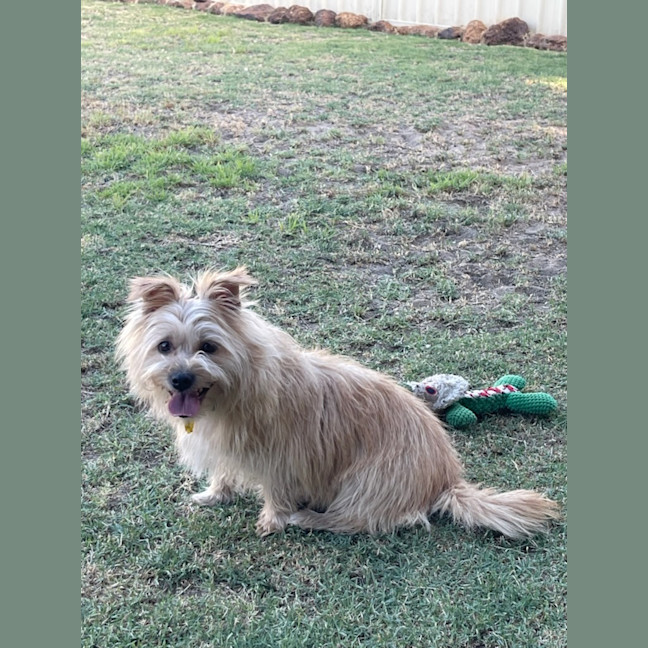 Photo of Milly