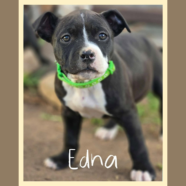 Photo of Edna
