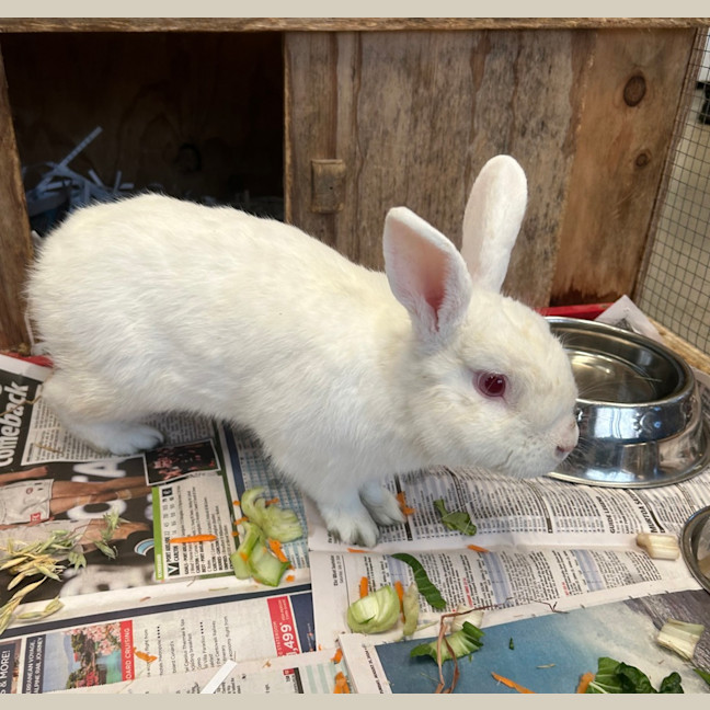 Photo of Sookie Lala Larry
