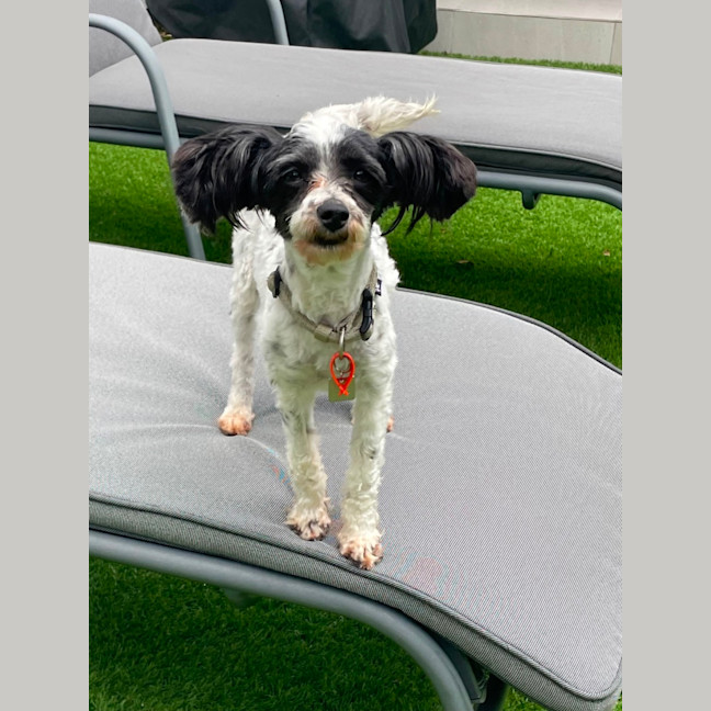 Photo of Lovely Penelope