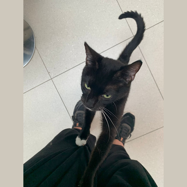 Photo of Sundae