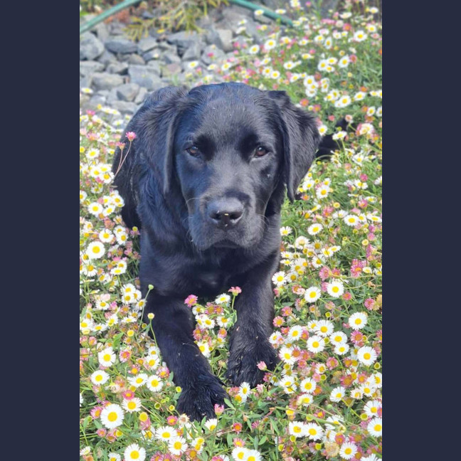 Photo of Doug