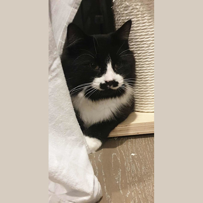 Photo of Bueno