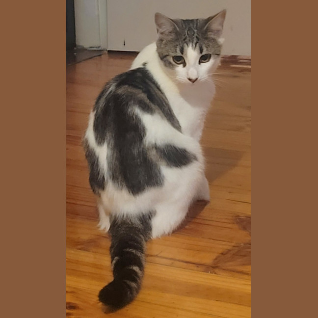 Photo of Lara