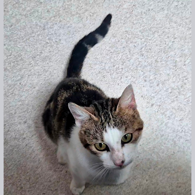 Photo of April (9172)